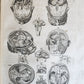 1646 ANATOMY ILLUSTRATED FOLIO antique MEDICAL Oeuvres de Me André dv Lavrens
