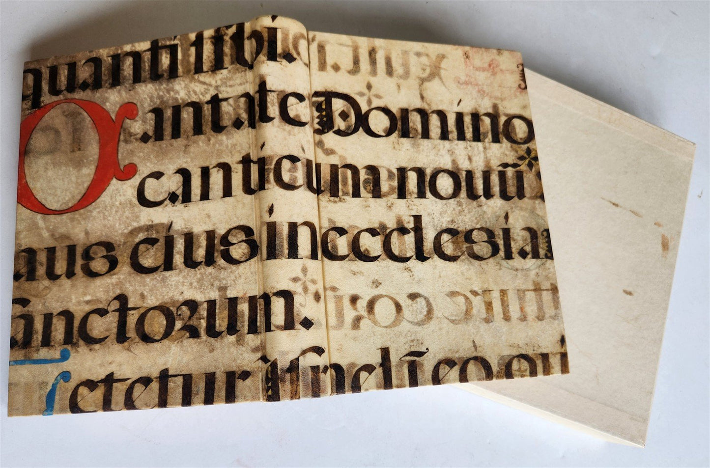 1527 POST-INCUNABULA antique Super canone misse cum additionibus by Gabriel Biel