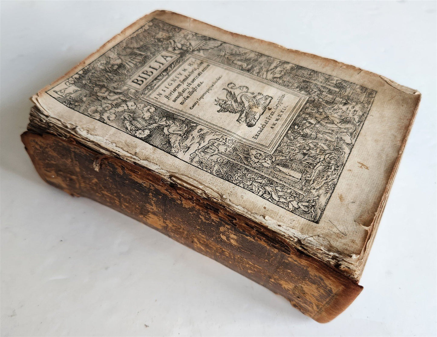 1541 BIBLE in LATIN antique rare BEAUTIFULLY ILLUSTRATED