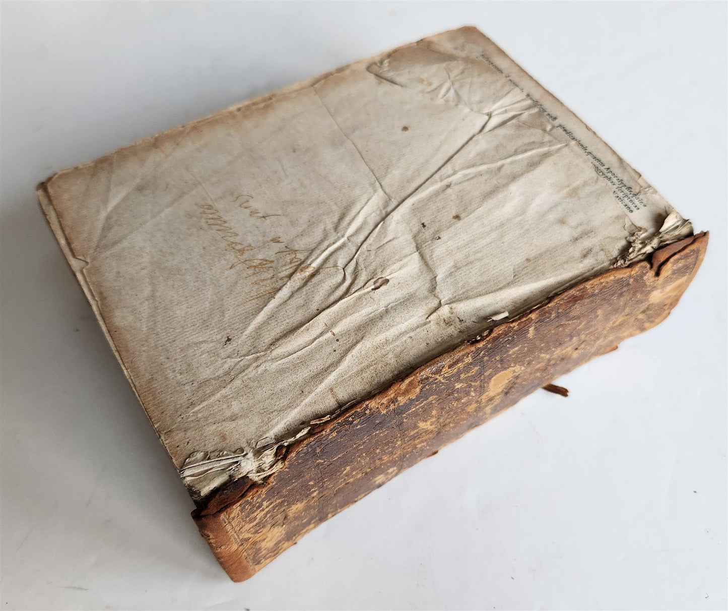 1541 BIBLE in LATIN antique rare BEAUTIFULLY ILLUSTRATED