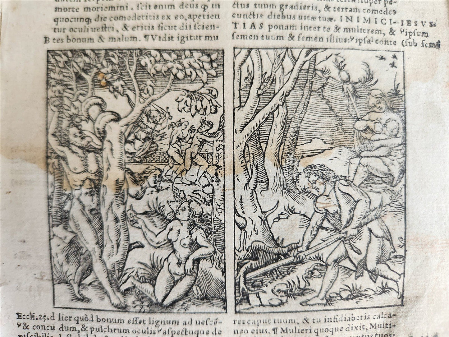 1541 BIBLE in LATIN antique rare BEAUTIFULLY ILLUSTRATED