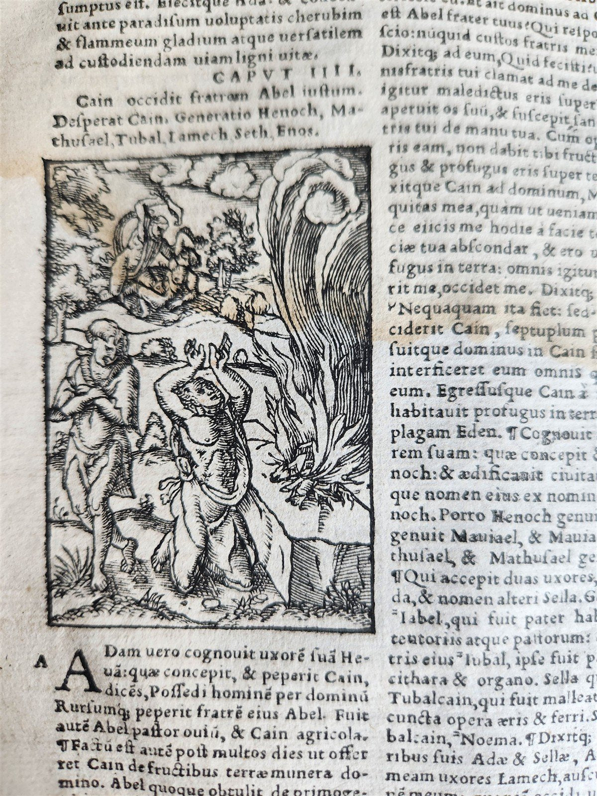 1541 BIBLE in LATIN antique rare BEAUTIFULLY ILLUSTRATED