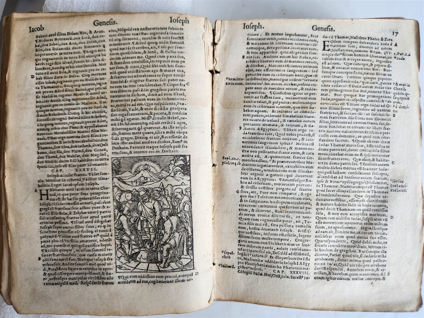 1541 BIBLE in LATIN antique rare BEAUTIFULLY ILLUSTRATED