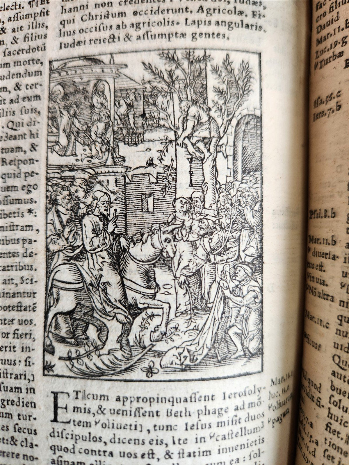1541 BIBLE in LATIN antique rare BEAUTIFULLY ILLUSTRATED