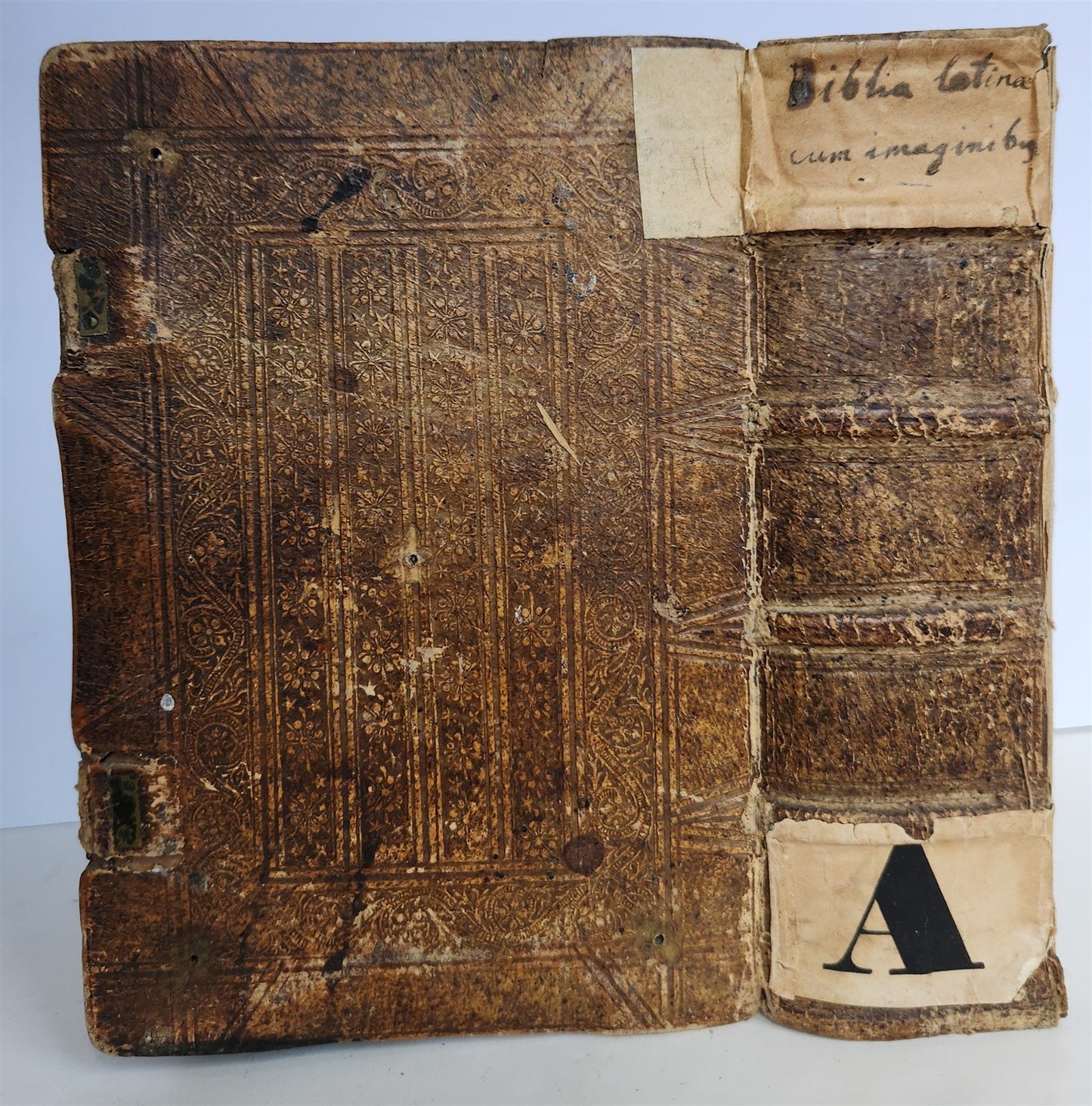 1542 BIBLE in LATIN antique rare BEAUTIFULLY ILLUSTRATED