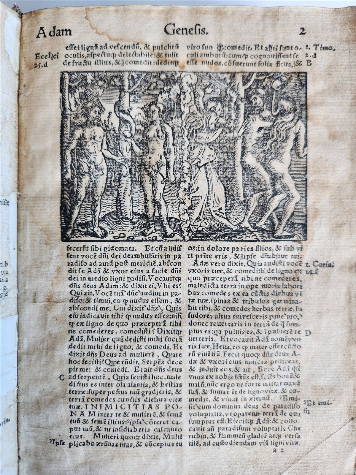1542 BIBLE in LATIN antique rare BEAUTIFULLY ILLUSTRATED