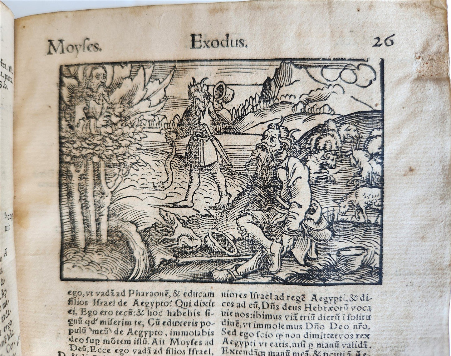 1542 BIBLE in LATIN antique rare BEAUTIFULLY ILLUSTRATED