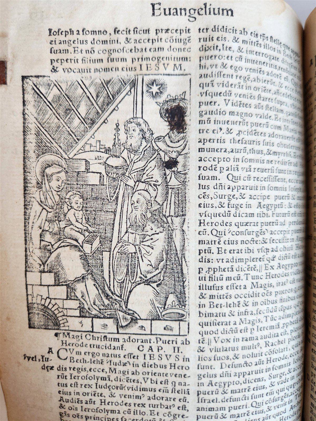 1542 BIBLE in LATIN antique rare BEAUTIFULLY ILLUSTRATED