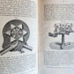 1896 SPECTRAL ANALYSIS Die Spectralanalyse by F. Landauer antique ILLUSTRATED