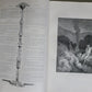 1874 BIBLE GUSTAVE DORE LLUSTRATED 2 VOLUMES MASSIVE FOLIO antique 230 plates