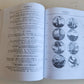 RUSSIAN HISTORY & ART 8 ILLUSTRATED BOOKS LOT