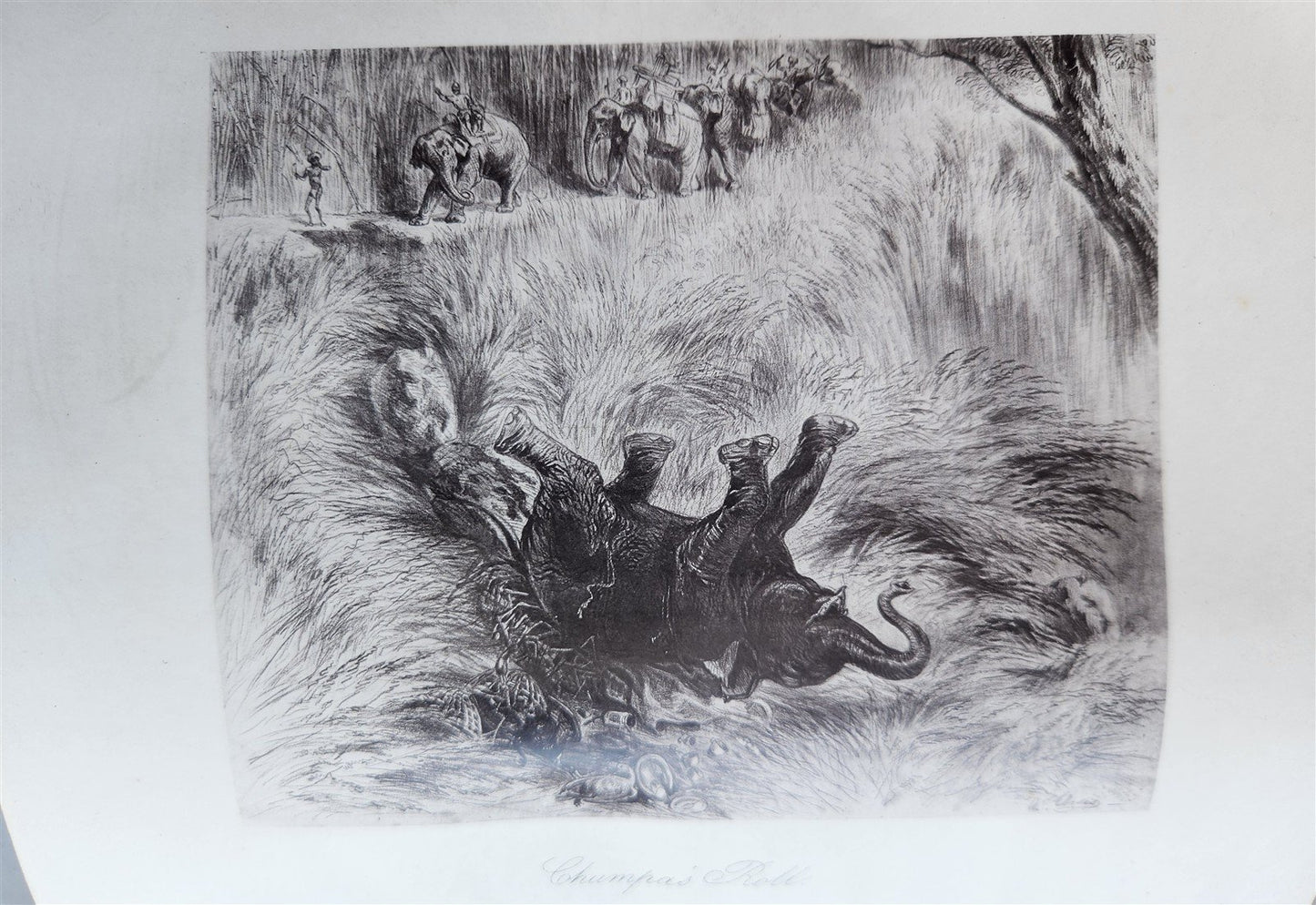 1879 THIRTEEN YEARS AMONG THE WILD BEASTS of INDIA antique ILLUSTRATED