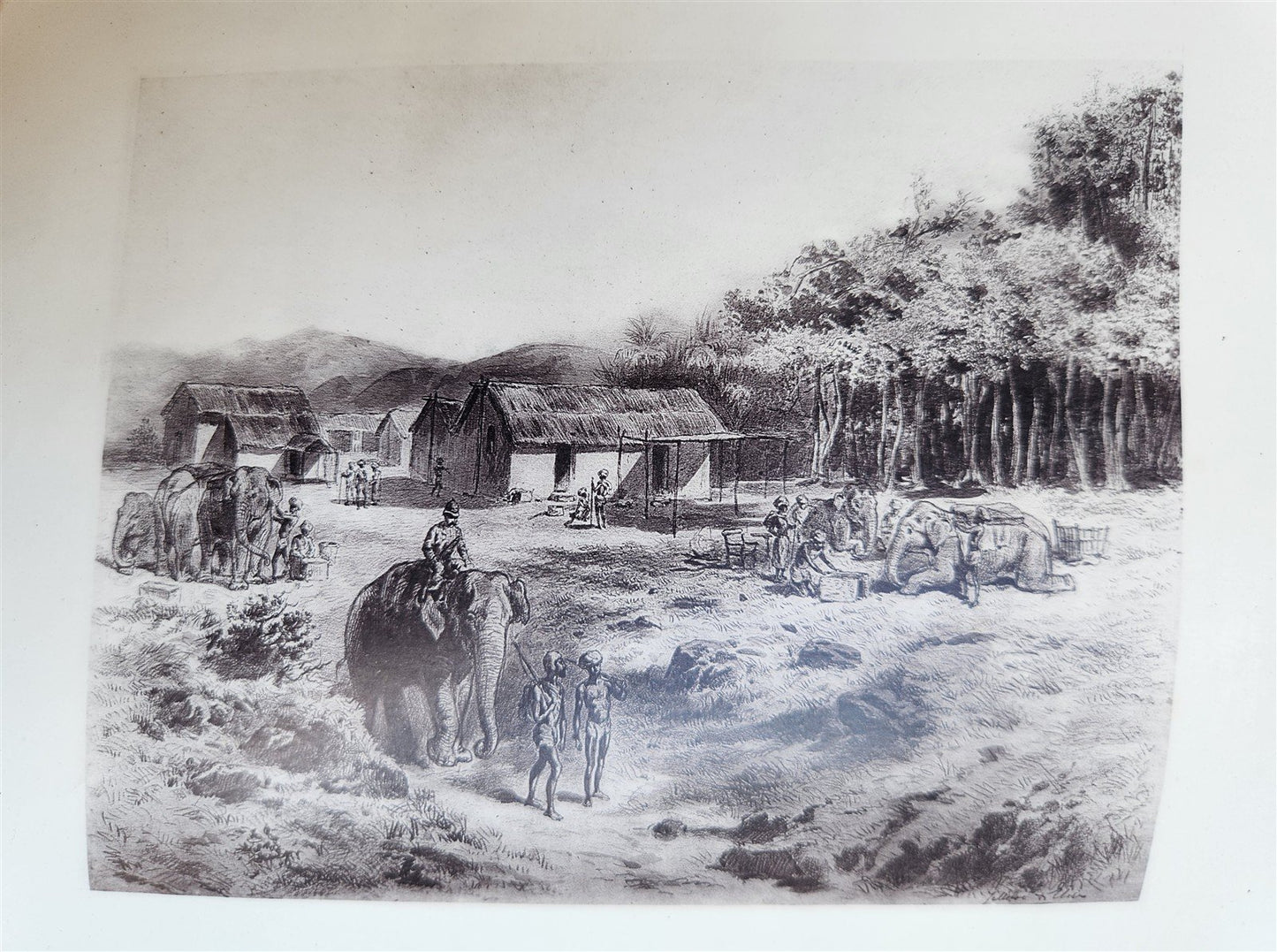 1879 THIRTEEN YEARS AMONG THE WILD BEASTS of INDIA antique ILLUSTRATED