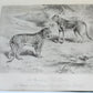 1879 THIRTEEN YEARS AMONG THE WILD BEASTS of INDIA antique ILLUSTRATED