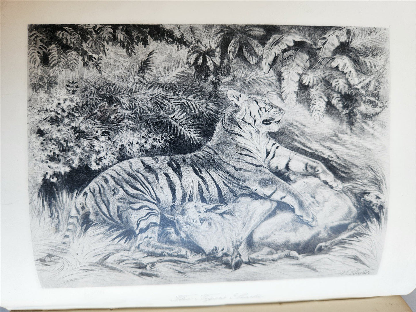 1879 THIRTEEN YEARS AMONG THE WILD BEASTS of INDIA antique ILLUSTRATED
