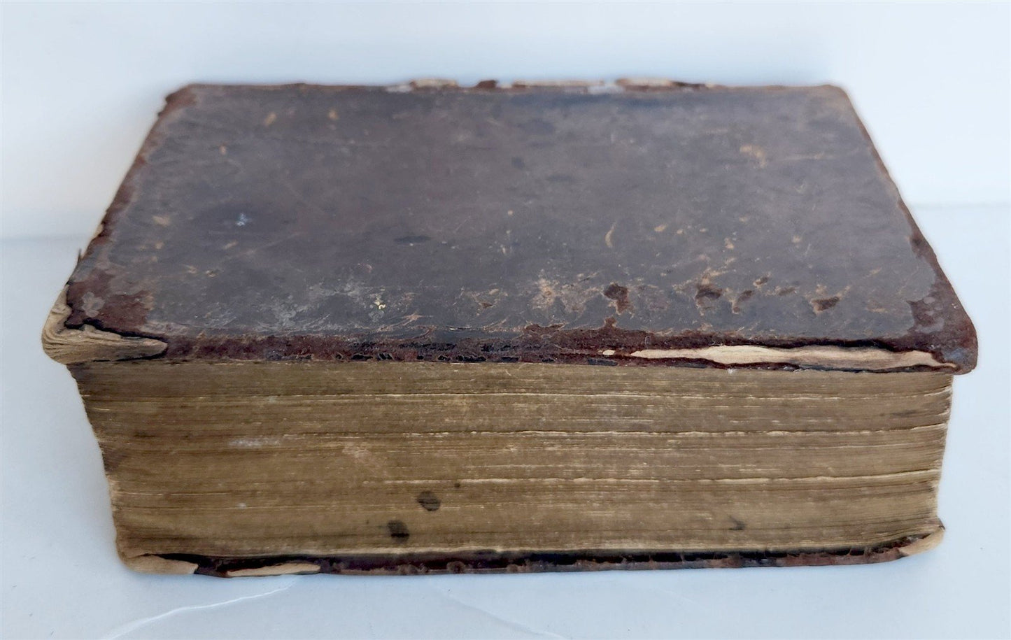1739 BIBLE in HEBREW antique Biblia Hebraica JUDAICA