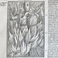 1641 BOOK of MARTYRS by JOHN FOXE antique ILLUSTRATED FOLIO Actes And Monuments