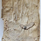1574 ARISTOTLE antique ARISTOTELIS DE RHETORICA et POETICA 16 cent. VELLUM BOUND