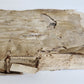 1574 ARISTOTLE antique ARISTOTELIS DE RHETORICA et POETICA 16 cent. VELLUM BOUND