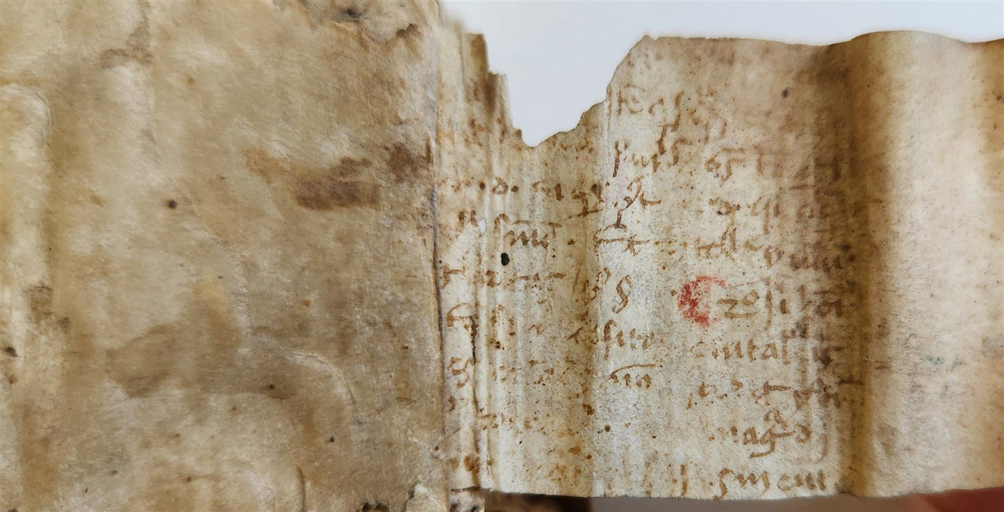 1574 ARISTOTLE antique ARISTOTELIS DE RHETORICA et POETICA 16 cent. VELLUM BOUND