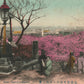JAPAN YOKOHAMA GENERAL VIEW ANTIQUE POSTCARD
