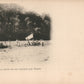 BOLIVIA MAPIRI ANTIQUE POSTCARD