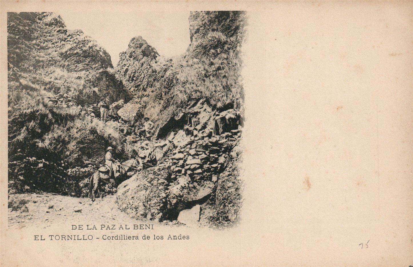 BOLIVIA DE LA PAZ AL BENI EL TORNILLO ANTIQUE POSTCARD