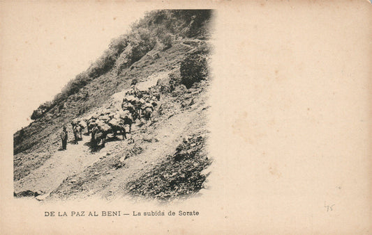 BOLIVIA DE LA PAZ AL BENI ANTIQUE POSTCARD