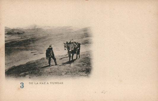BOLIVIA DE LA PAZ A YUNGAS ANTIQUE POSTCARD