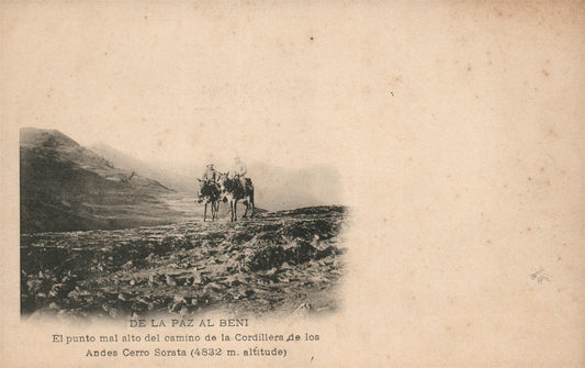 BOLIVIA DE LA PAZ AL BENI ANTIQUE POSTCARD