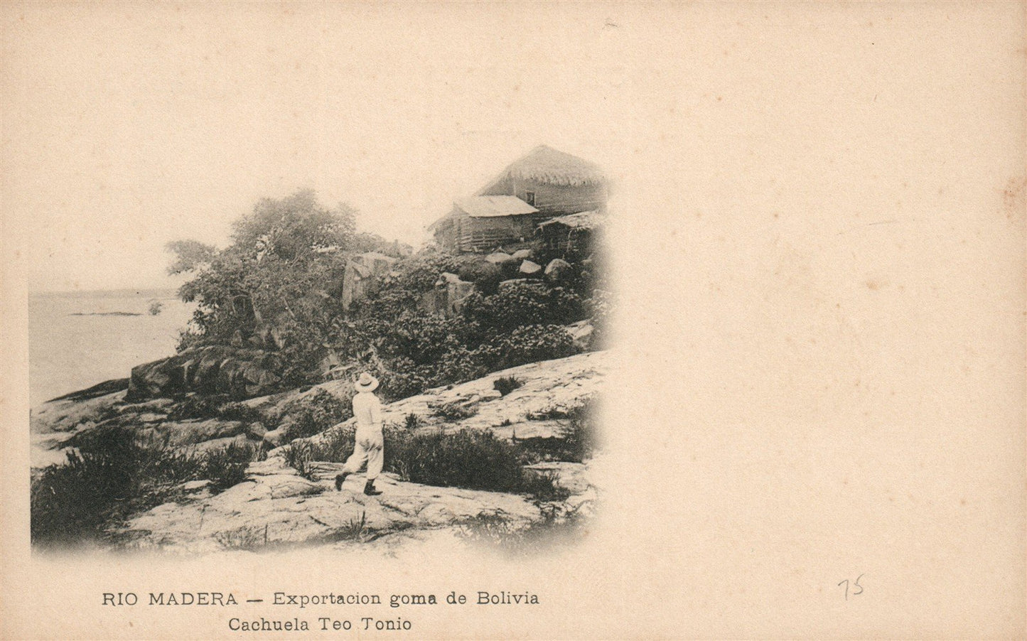BOLIVIA RIO MADERA EXPORTACION GOMA ANTIQUE POSTCARD