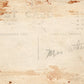 MEAT MARKET ANTIQUE REAL PHOTO POSTCARD RPPC