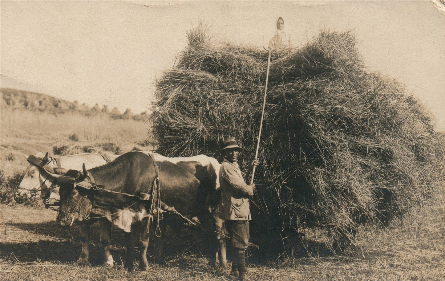 HARVEST ANTIQUE REAL PHOTO POSTCARD RPPC