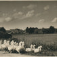 GOOSEHERD ANTIQUE REAL PHOTO POSTCARD RPPC