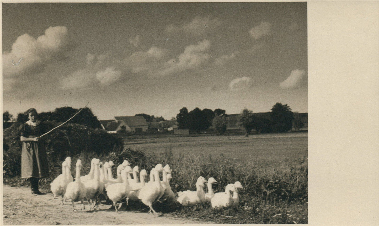 GOOSEHERD ANTIQUE REAL PHOTO POSTCARD RPPC