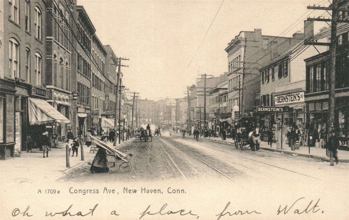 NEW HAVEN CT CONGRESS AVE. ANTIQUE POSTCARD