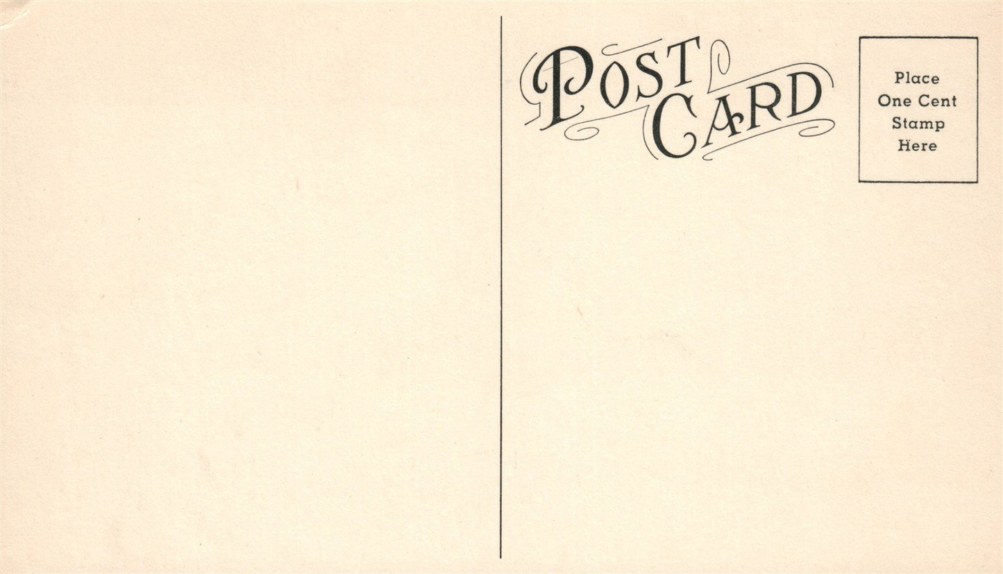 PRITCHETT CO HERE IS YOUR SPEED TICKET ANTIQUE POSTCARD