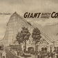 CHICAGO IL FOREST FLAG GIANT SAFETY COASTER ANTIQUE POSTCARD