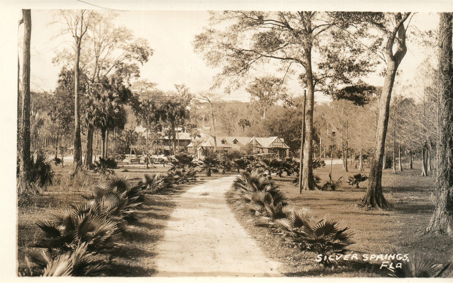SILVER SPRINGS FL ANTIQUE REAL PHOTO POSTCARD RPPC