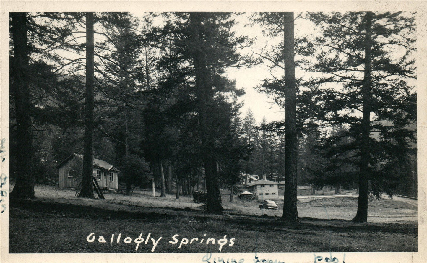 CALLOGLY SPRING MT VINTAGE REAL PHOTO POSTCARD RPPC