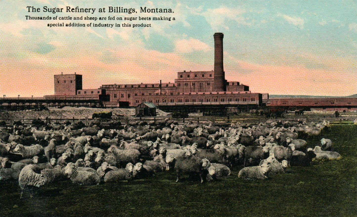 BILLINGS MT SUGAR REFINERY ANTIQUE POSTCARD