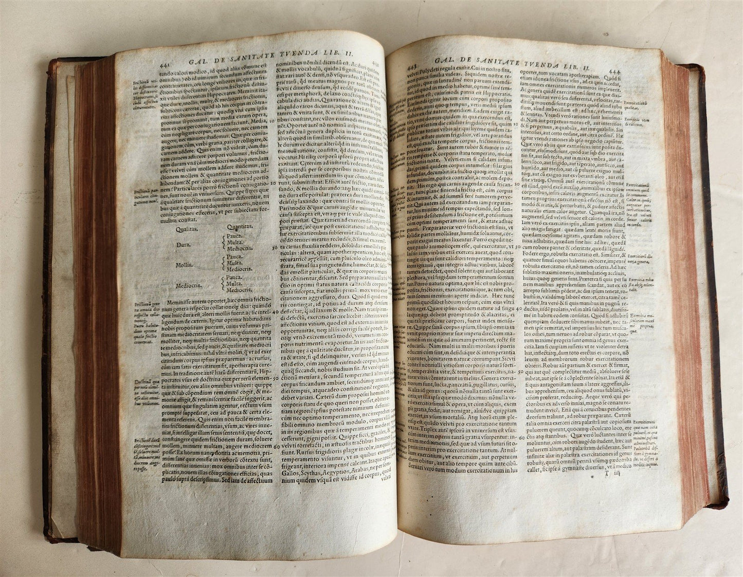 1571 MEDICAL TREATISE ILLUSTRATED antique 16th century FOLIO Epitome Galeni