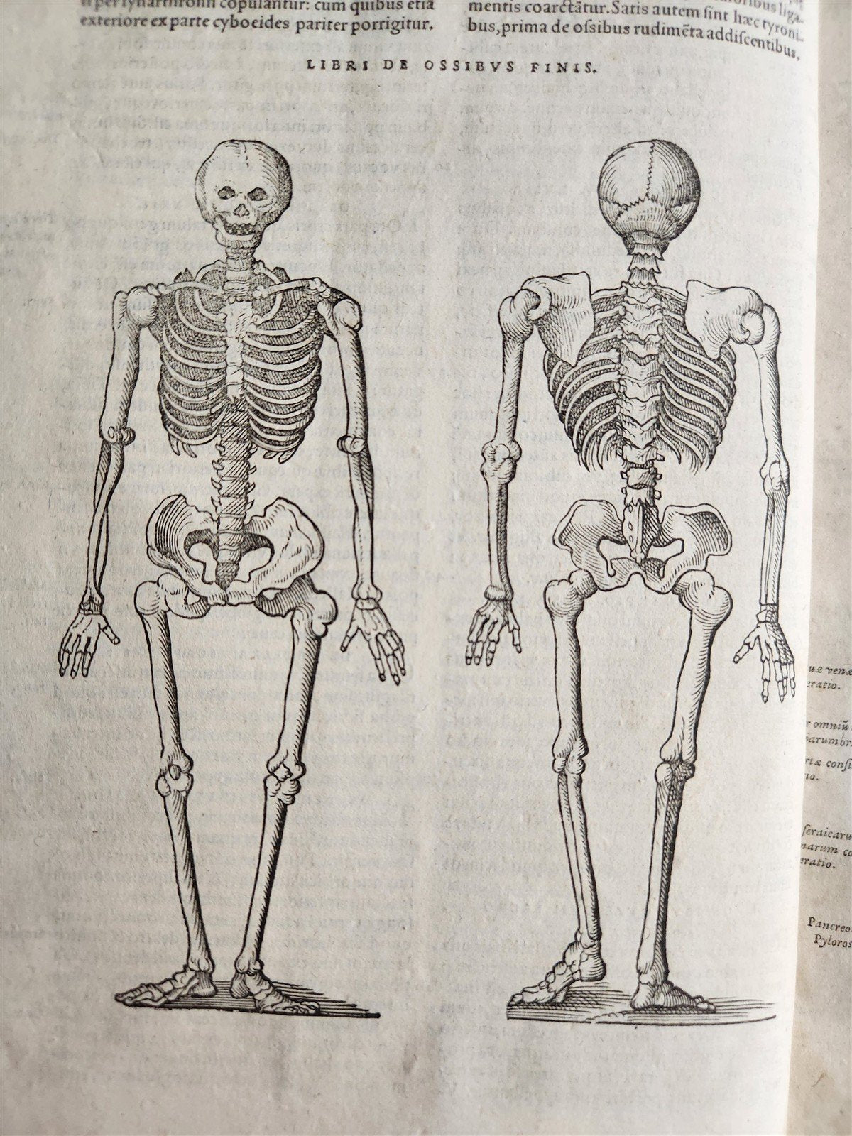 1571 MEDICAL TREATISE ILLUSTRATED antique 16th century FOLIO Epitome Galeni