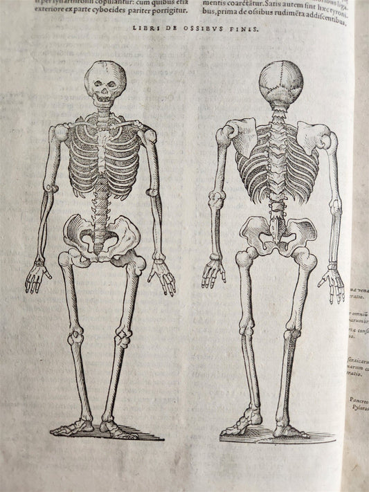1571 MEDICAL TREATISE ILLUSTRATED antique 16th century FOLIO Epitome Galeni