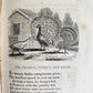 1820 FABLES by JOHN GAY antique in ENGLISH illustrated