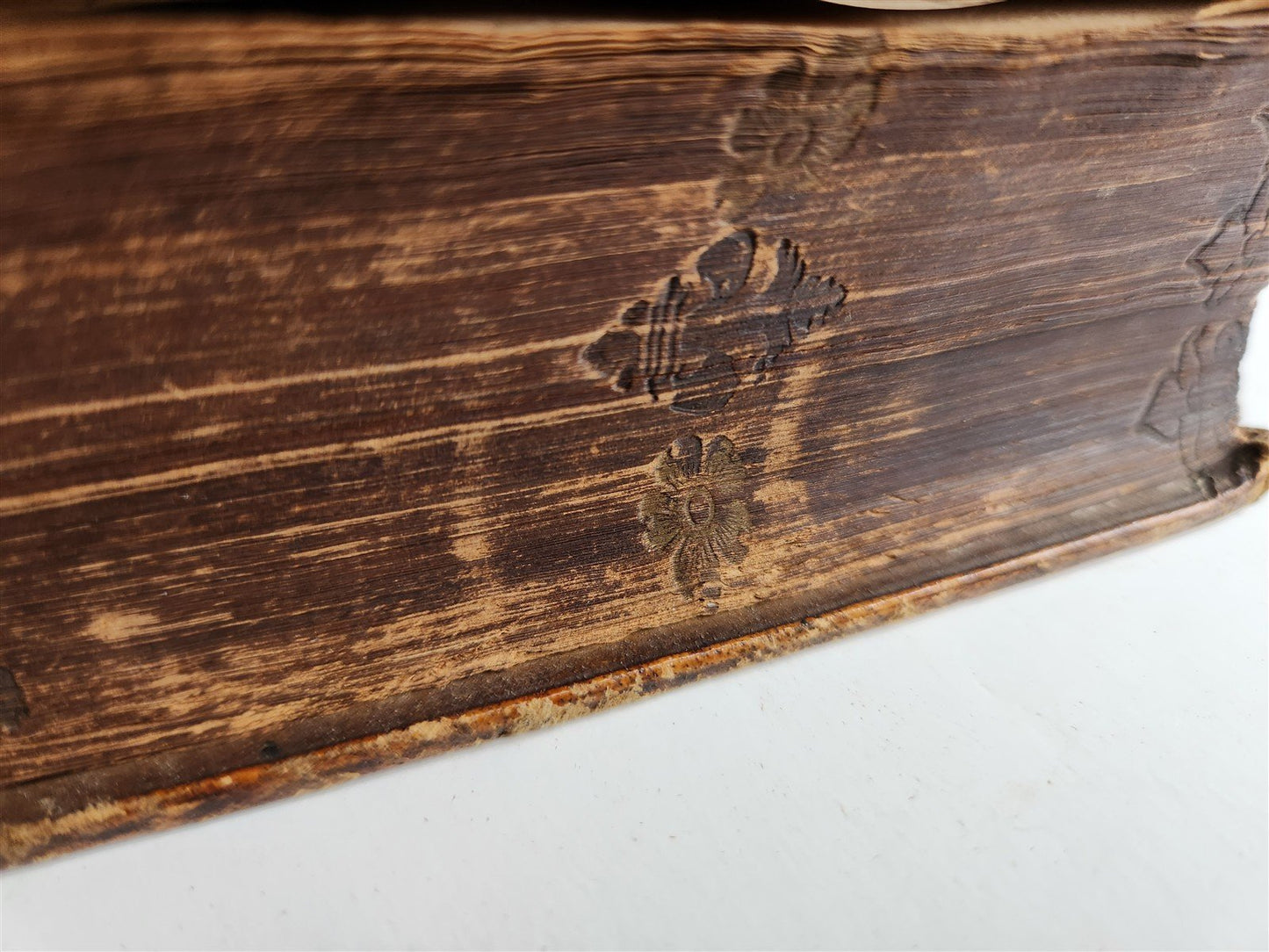 1566 PLUTARCH Parallel Lives of Illustrious Greeks & Romans ANTIQUE pigskin