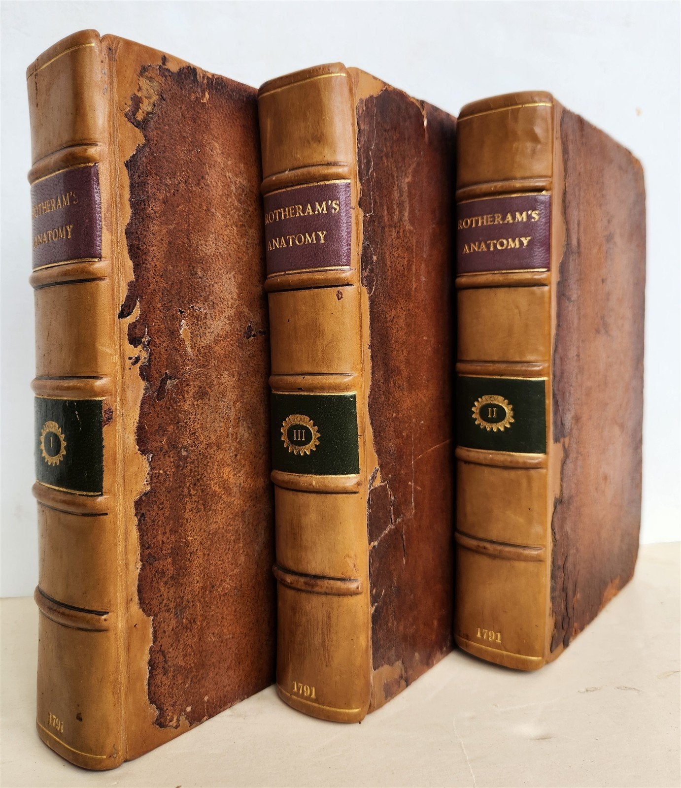 1791 System of Anatomy & Physiology ANTIQUE 3 vols. ILLUSTRATED