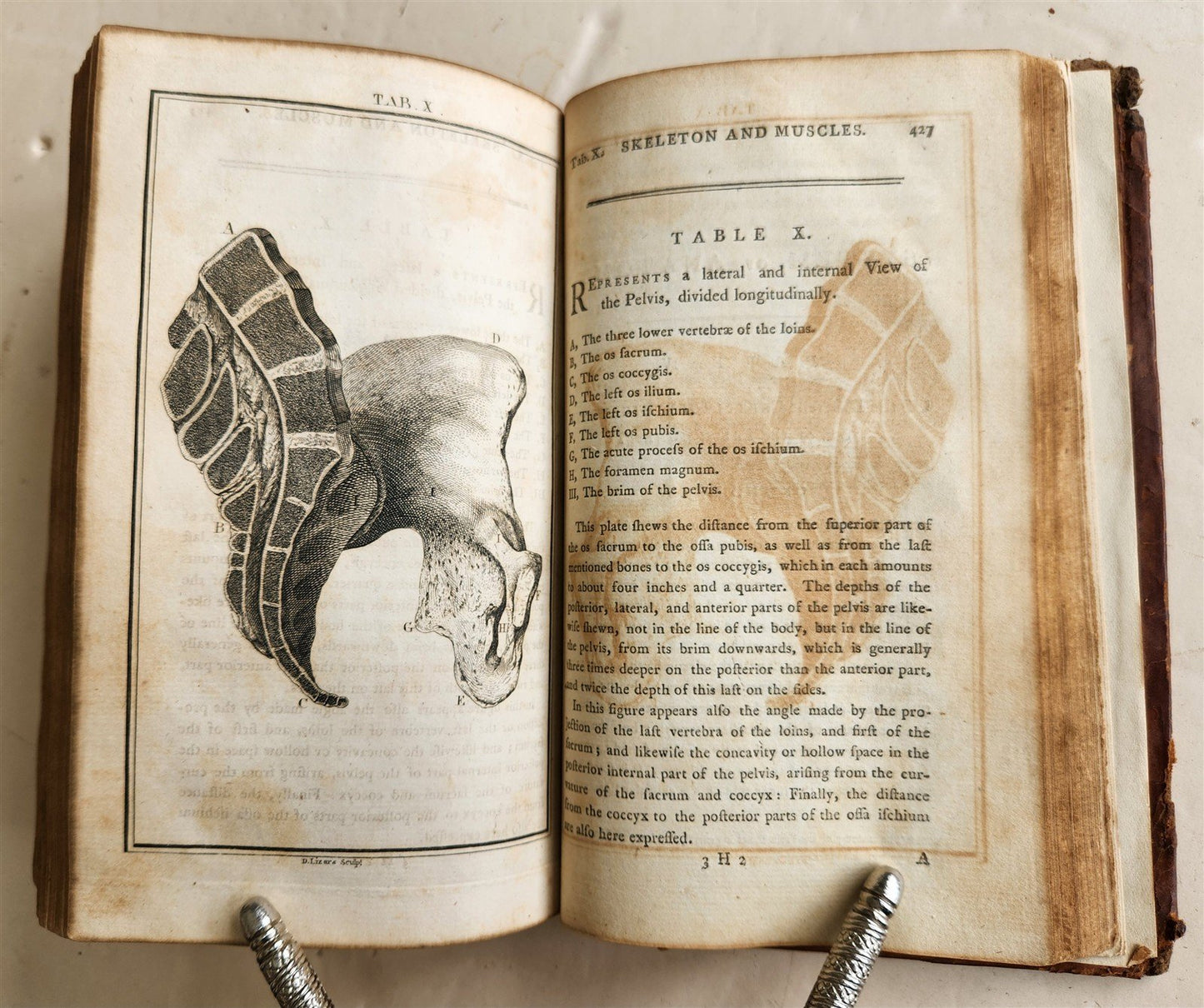 1791 System of Anatomy & Physiology ANTIQUE 3 vols. ILLUSTRATED