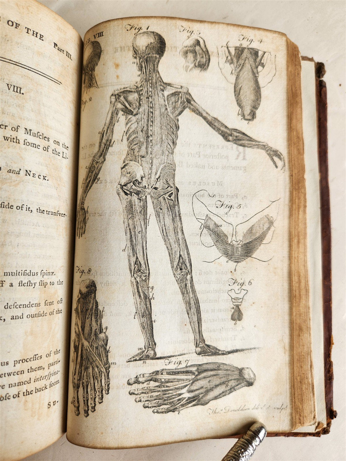 1791 System of Anatomy & Physiology ANTIQUE 3 vols. ILLUSTRATED