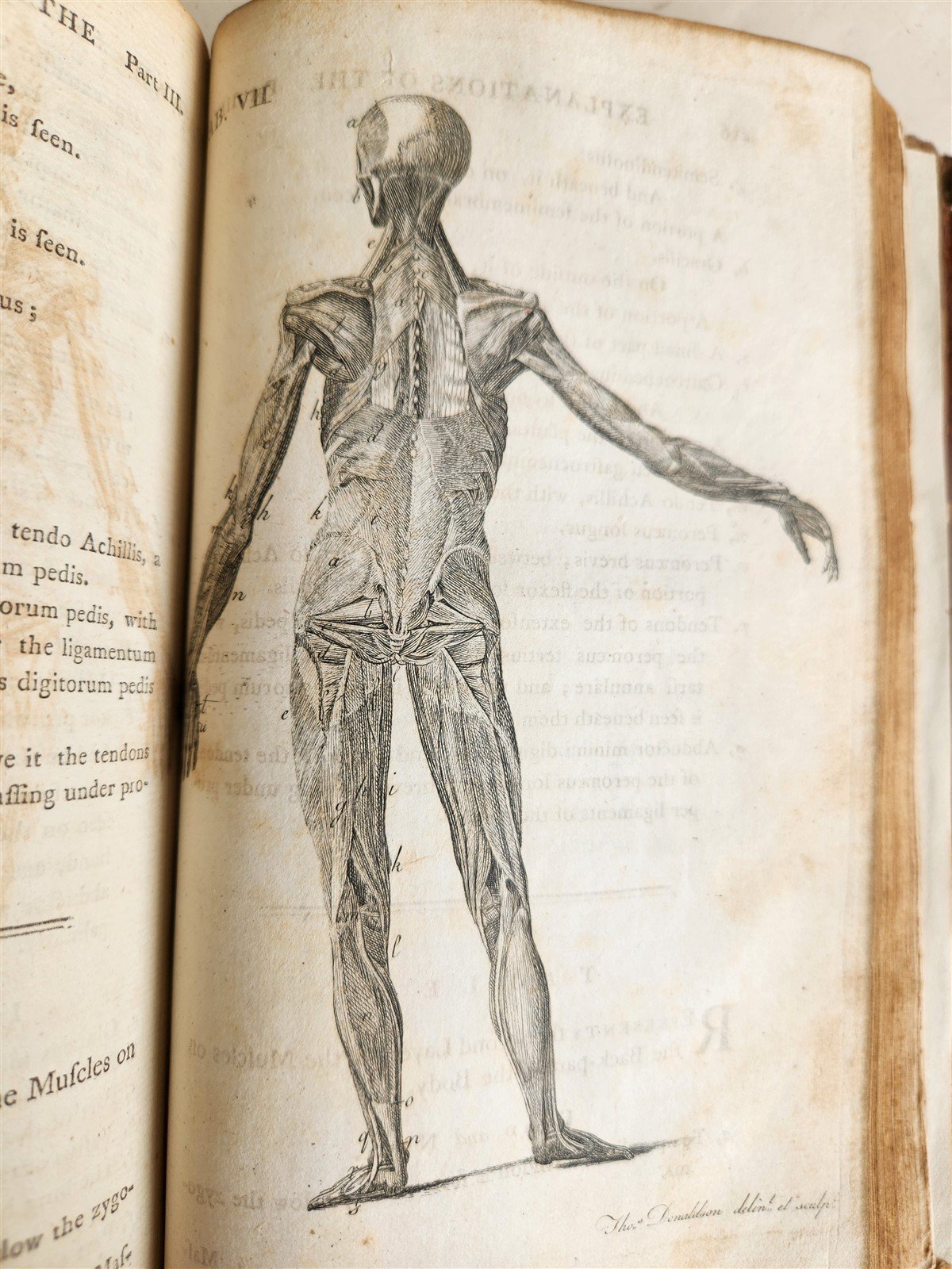 1791 System of Anatomy & Physiology ANTIQUE 3 vols. ILLUSTRATED
